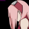 avatar sakurciaxd