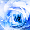 avatar seqel