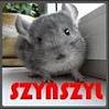 avatar szynszylpolska