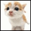 avatar tynia72