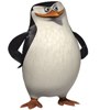avatar verrmaj