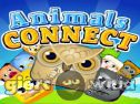 Miniaturka gry: Animals Connect