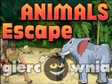 Miniaturka gry: Animals Escape