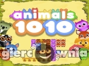 Miniaturka gry: Animals 1010