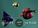 Miniaturka gry: Big  Fish