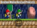 Miniaturka gry: Brother Mario Rescue Princess