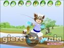 Miniaturka gry: Cat Fishing Dress Up
