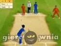 Miniaturka gry: Crickiet The Batsman's