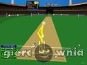 Miniaturka gry: Cann Cricket