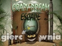 Miniaturka gry: Crazy Dream Escape