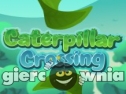 Miniaturka gry: Caterpillar Crossing