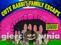 Miniaturka gry: Cute Rabbit Family Escape