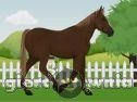 Miniaturka gry: Dream Horse