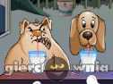 Miniaturka gry: Dog Championship