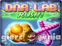 Miniaturka gry: DNA Lab Rush