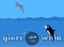 Miniaturka gry: Dolphin Tag