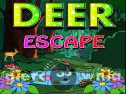 Miniaturka gry: Deer Escape