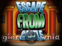 Miniaturka gry: Esacpe From Castle
