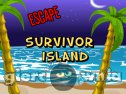 Miniaturka gry: Escape Survivor Island