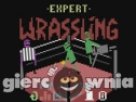 Miniaturka gry: Expert Wrassling