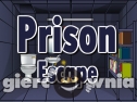 Miniaturka gry: Ena Prison Escape