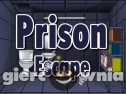 Miniaturka gry: Ena Prison Escape