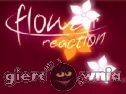 Miniaturka gry: Flower Reaction