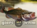 Miniaturka gry: Fishing Hunting For Trophy