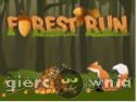 Miniaturka gry: Forest Run