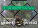 Miniaturka gry: Find Forest Difference