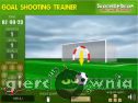 Miniaturka gry: Goal Shooting Trainer