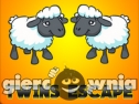 Miniaturka gry: Goat Twins Escape