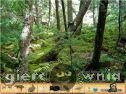 Miniaturka gry: Hidden Objects Jungle