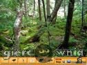 Miniaturka gry: Hidden Objects Jungle 2