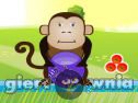 Miniaturka gry: Hungry Monkey