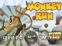 Miniaturka gry: Kung Fu Panda Monkey Run