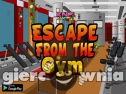 Miniaturka gry: KNF Escape From The Gym