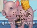 Miniaturka gry: Little Piggy