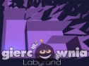 Miniaturka gry: Labyrand