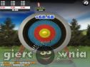 Miniaturka gry: Max Arrow Archery