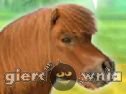 Miniaturka gry: My Dear Pony