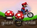 Miniaturka gry: Mario  Bike