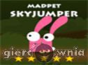 Miniaturka gry: Madpet Skyjumper