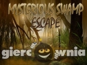 Miniaturka gry: Mysterious Swamp Escape