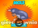 Miniaturka gry: Mole Rescue From House