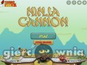Miniaturka gry: Ninja Cannon