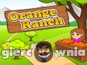 Miniaturka gry: Orange Ranch