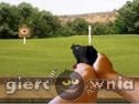 Miniaturka gry: Pistol Training