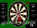 Miniaturka gry: Pro 501 Darts