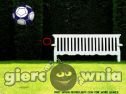 Miniaturka gry: Park soccer